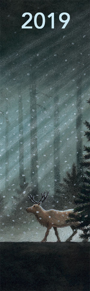 Dasher by Matt
Tavares