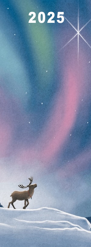 Matt Tavares Events
2025